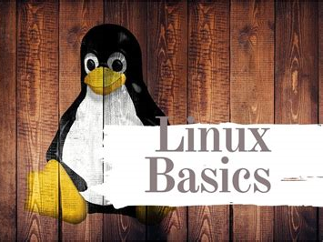 Basic Linux commands